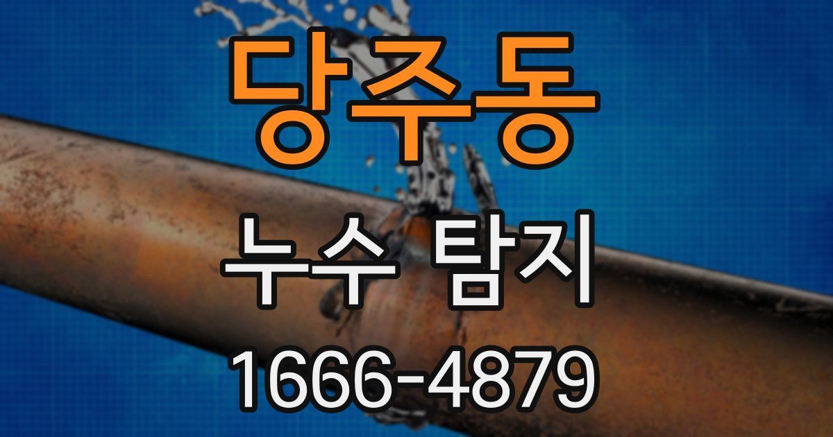 당주동 누수 탐지