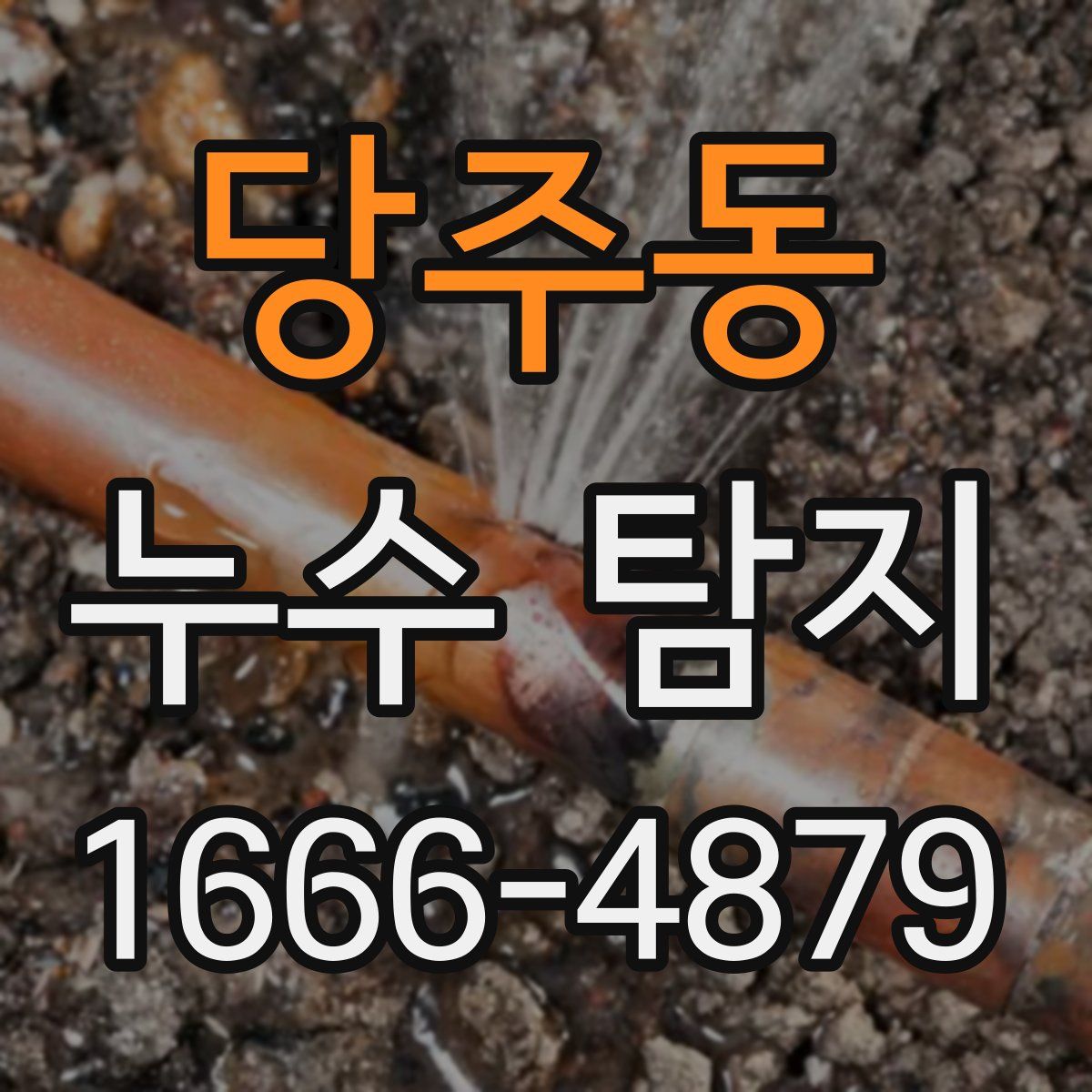 당주동 누수 탐지