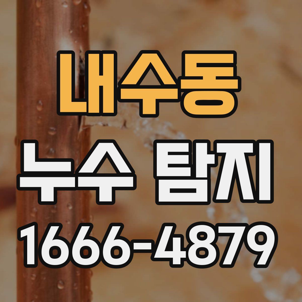 내수동 누수 탐지