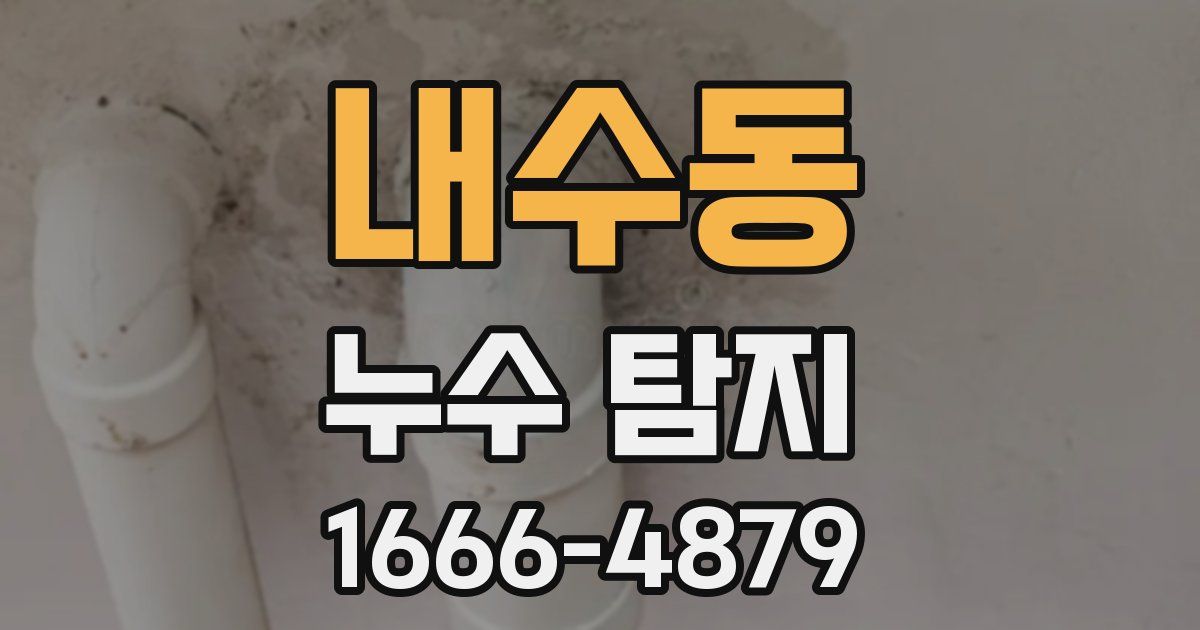 내수동 누수 탐지