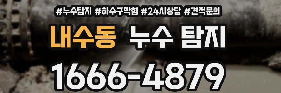 내수동 누수 탐지