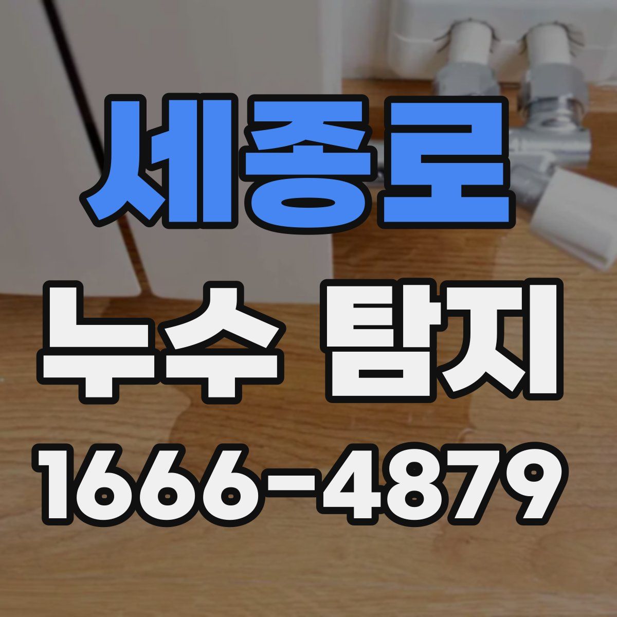 세종로 누수 탐지