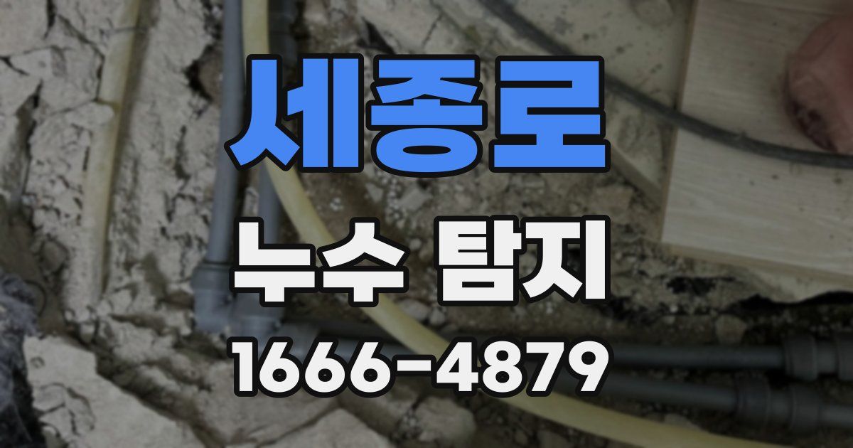 세종로 누수 탐지