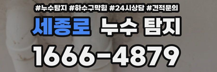 세종로 누수 탐지