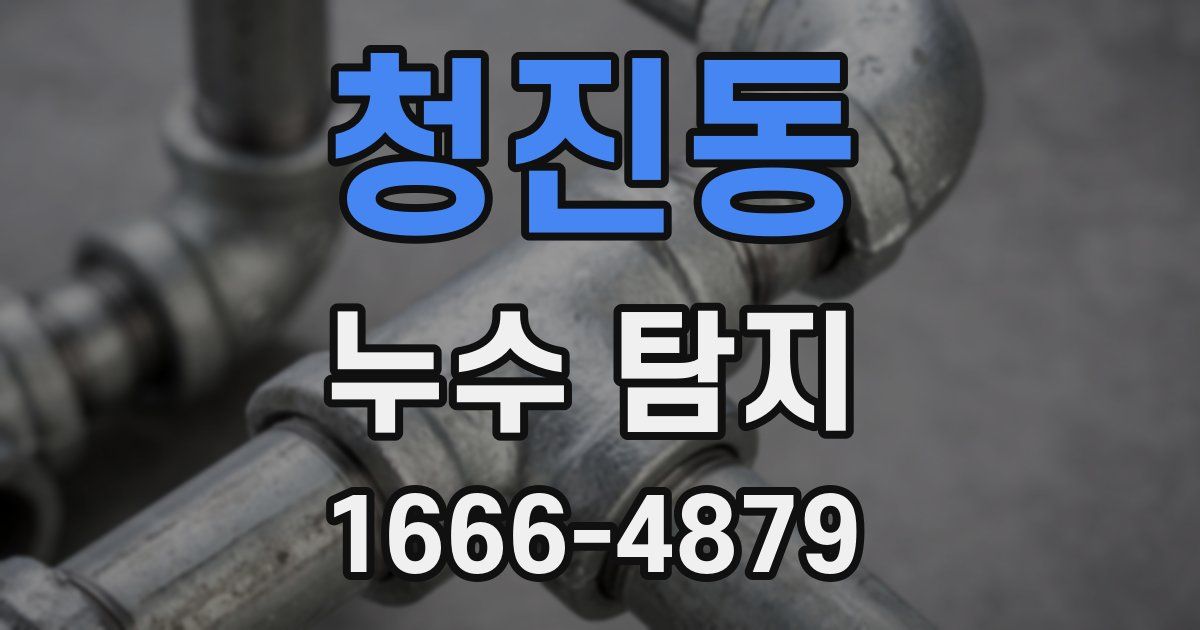 청진동 누수 탐지