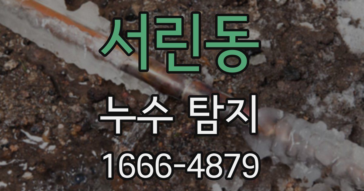 서린동 누수 탐지