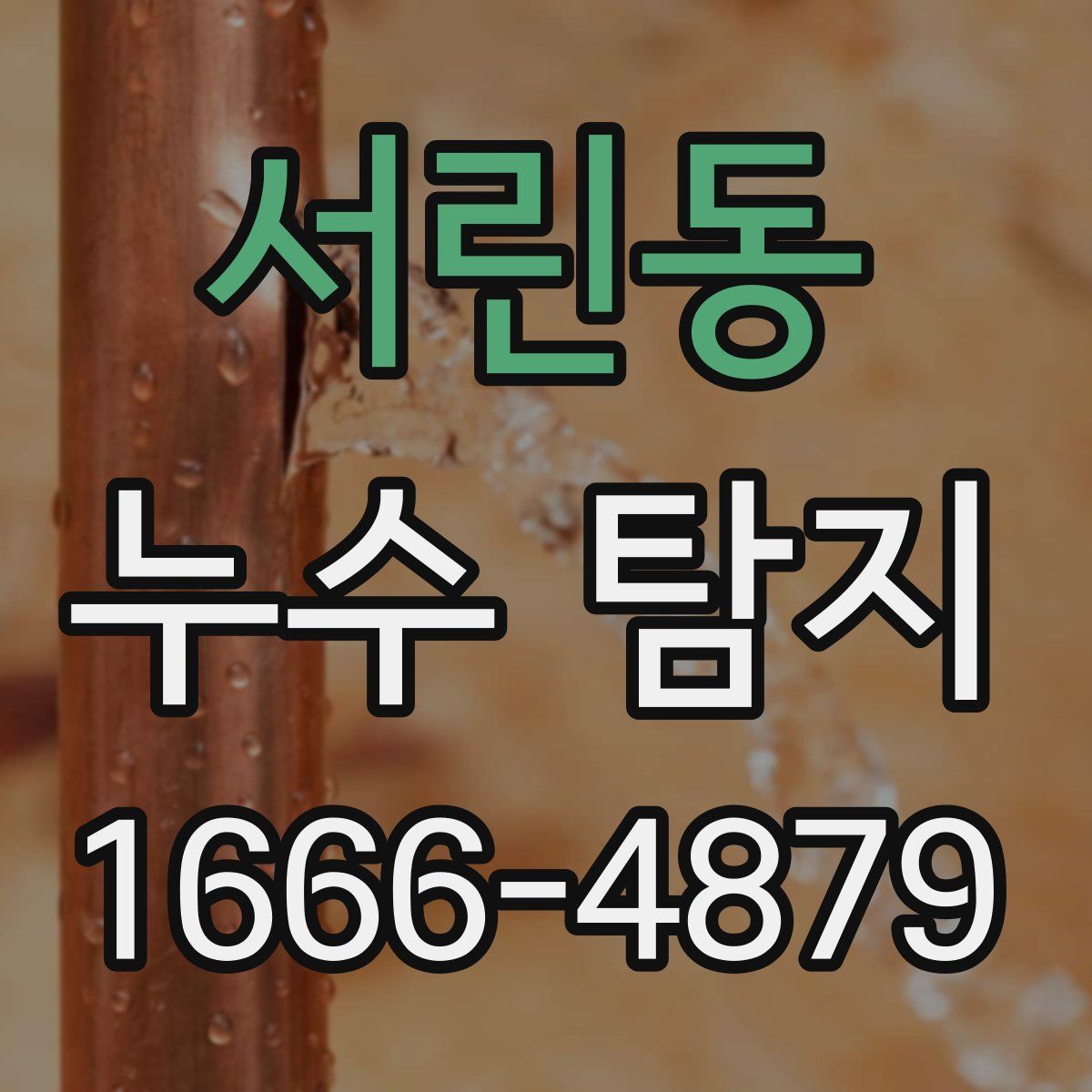 서린동 누수 탐지