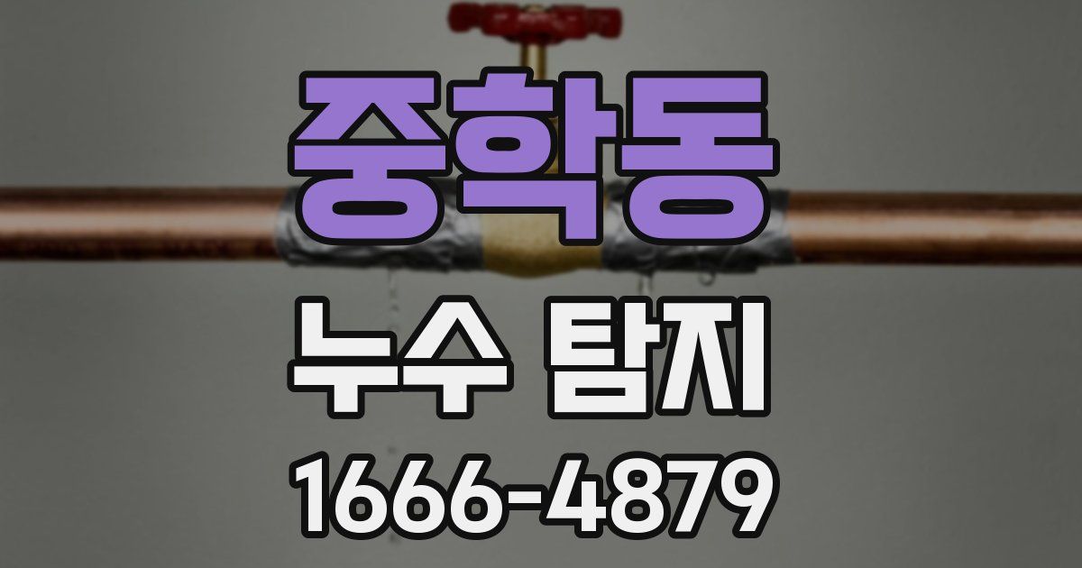 중학동 누수 탐지