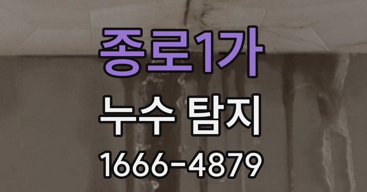 종로1가 누수 탐지