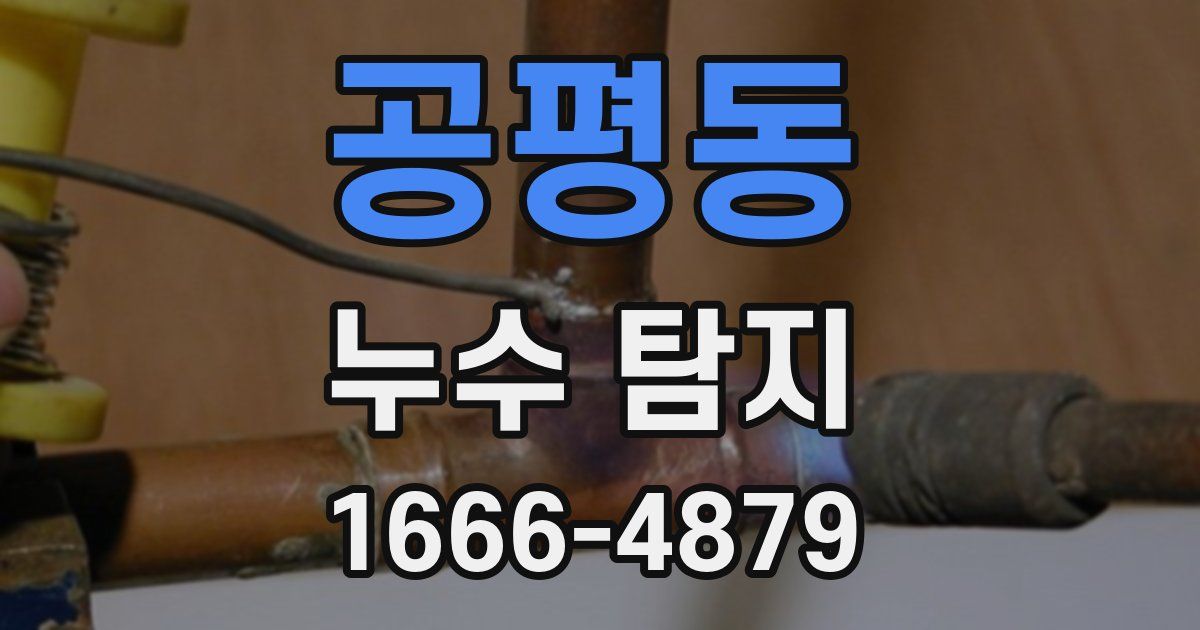 공평동 누수 탐지