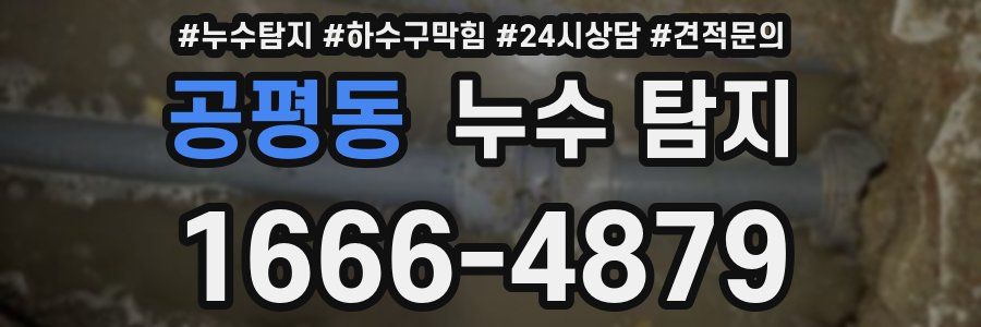 공평동 누수 탐지