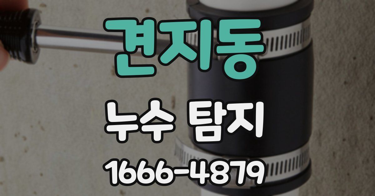 견지동 누수 탐지