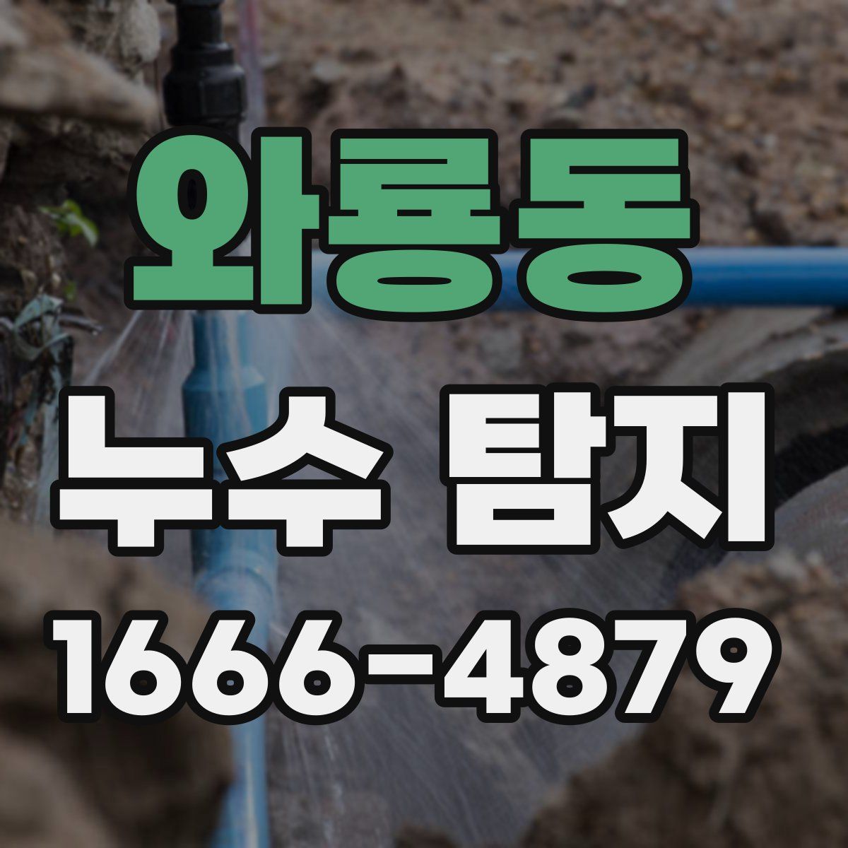 와룡동 누수 탐지