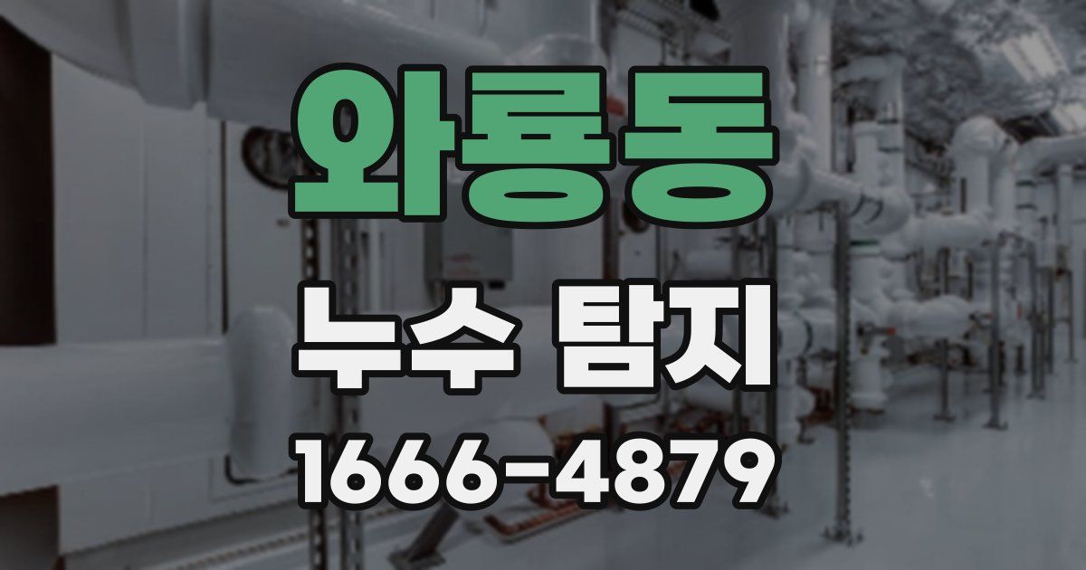 와룡동 누수 탐지