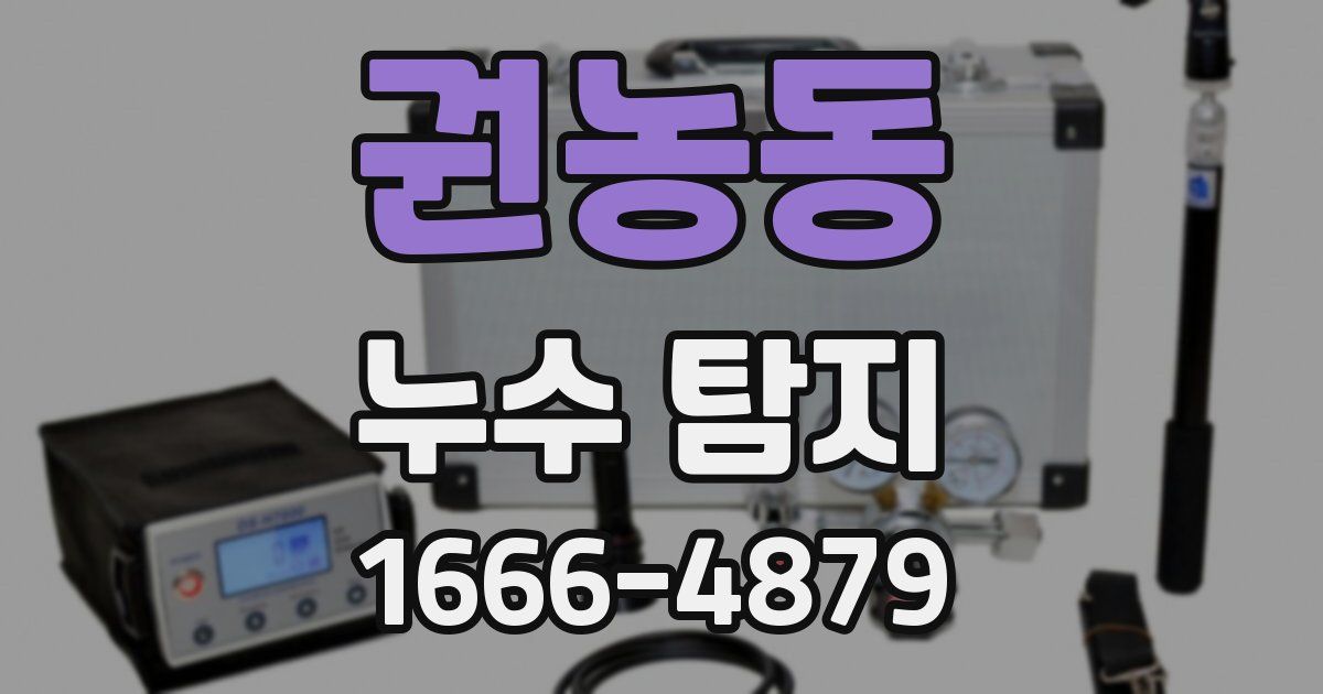 권농동 누수 탐지