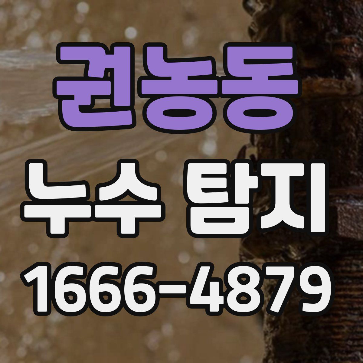 권농동 누수 탐지