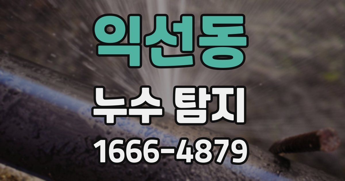 익선동 누수 탐지