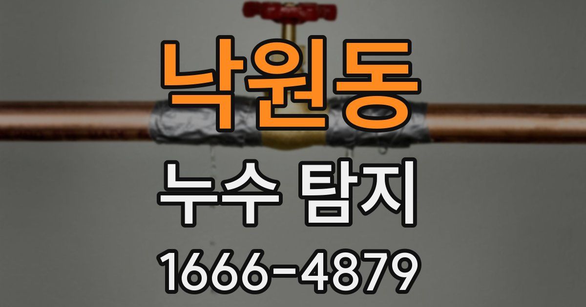 낙원동 누수 탐지