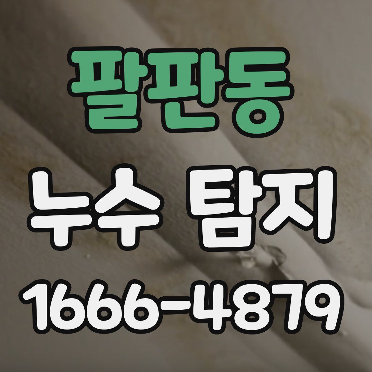 팔판동 누수 탐지