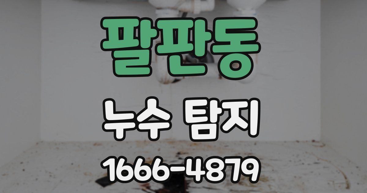 팔판동 누수 탐지