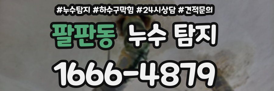 팔판동 누수 탐지