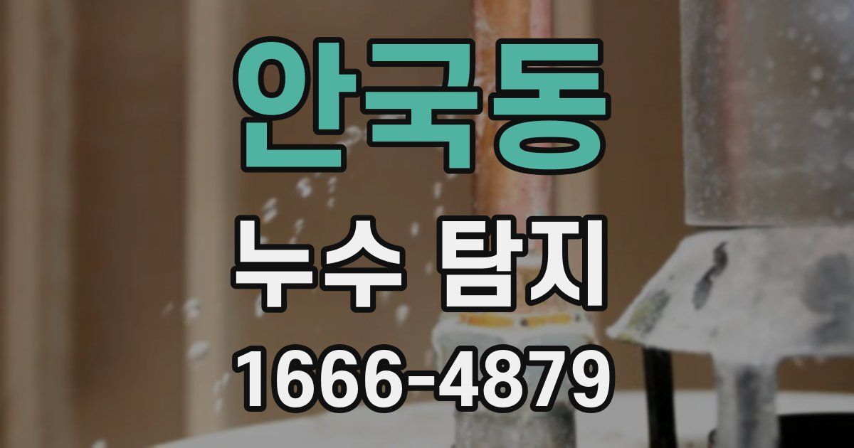 안국동 누수 탐지