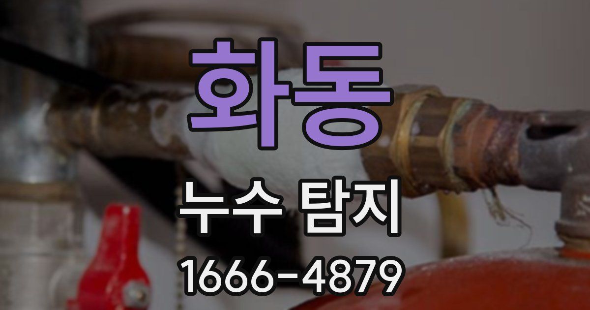 화동 누수 탐지