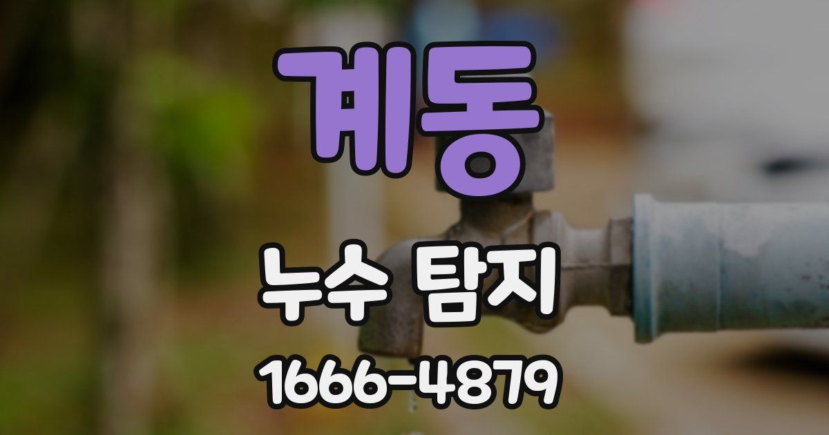 계동 누수 탐지