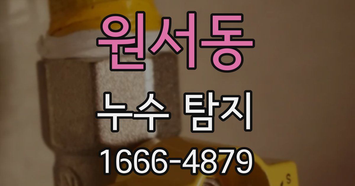 원서동 누수 탐지
