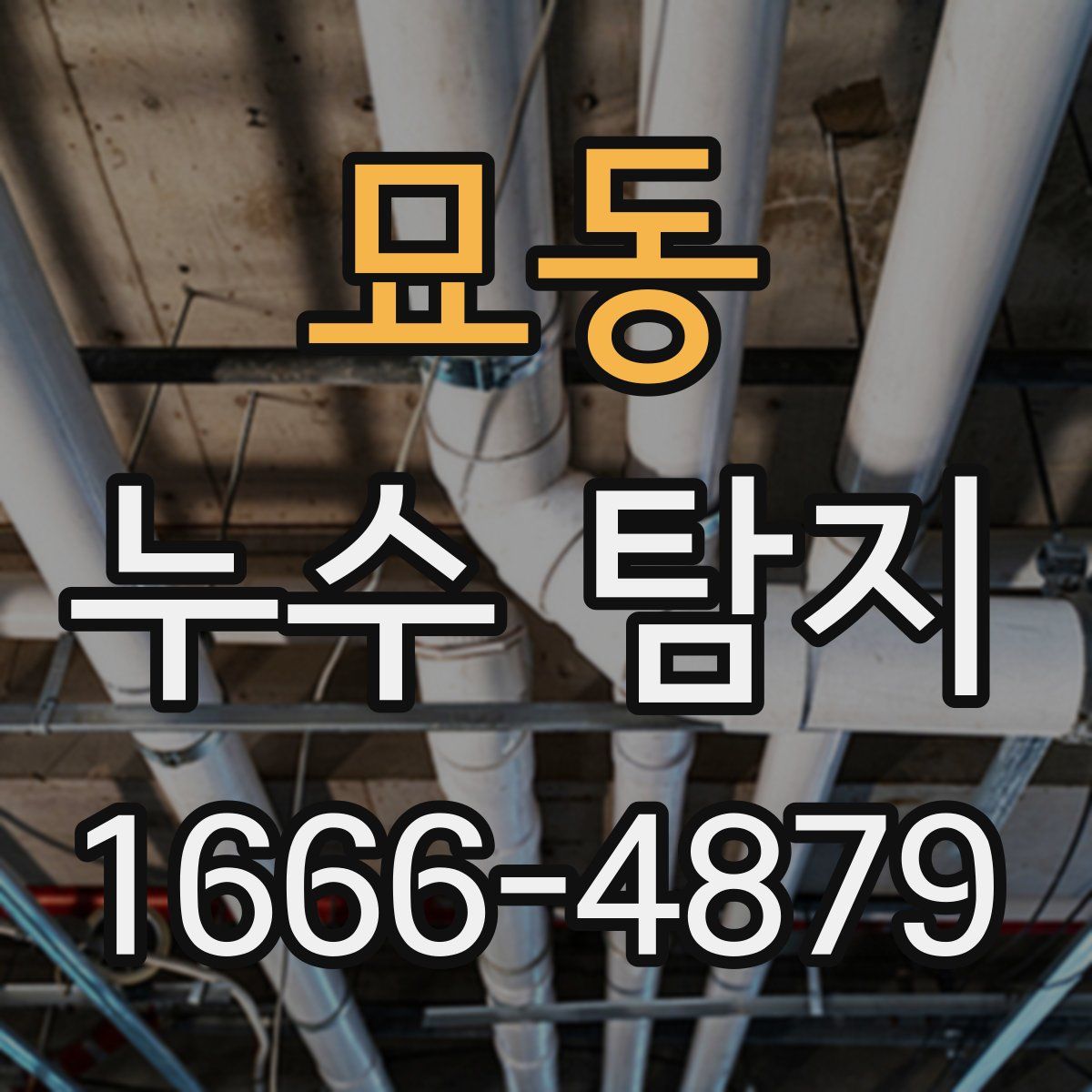 묘동 누수 탐지