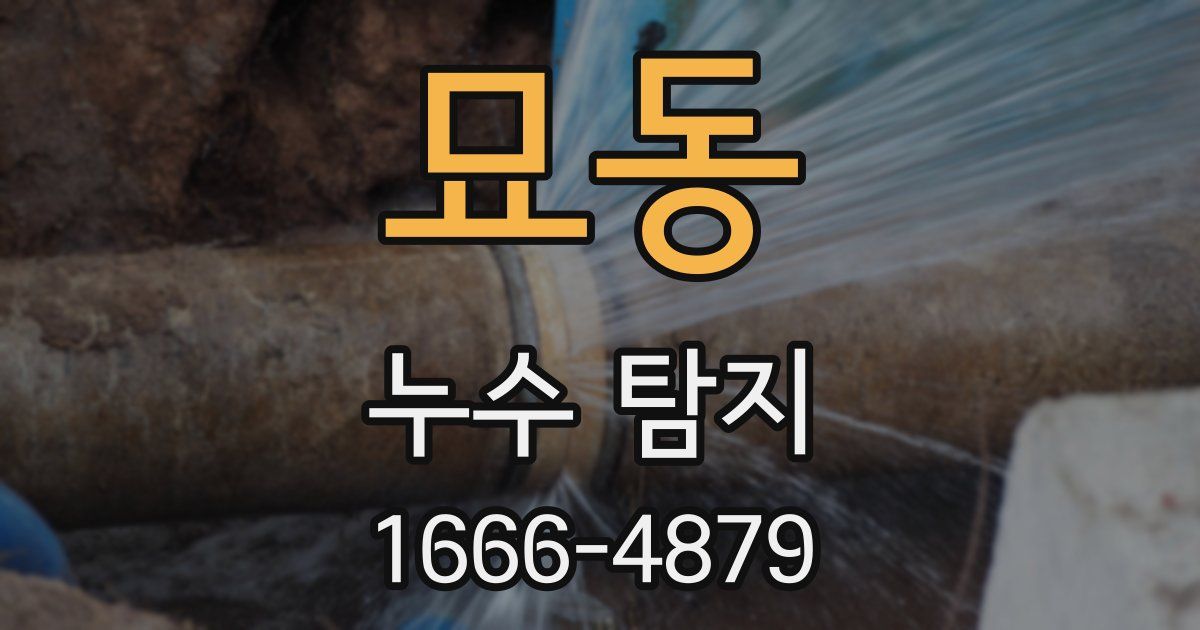 묘동 누수 탐지
