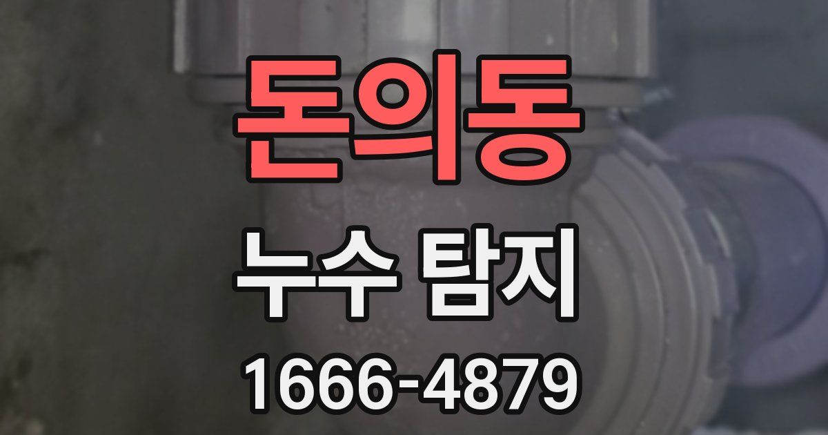 돈의동 누수 탐지