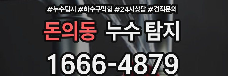 돈의동 누수 탐지
