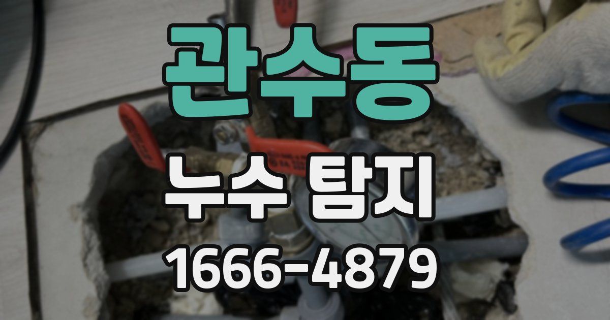 관수동 누수 탐지