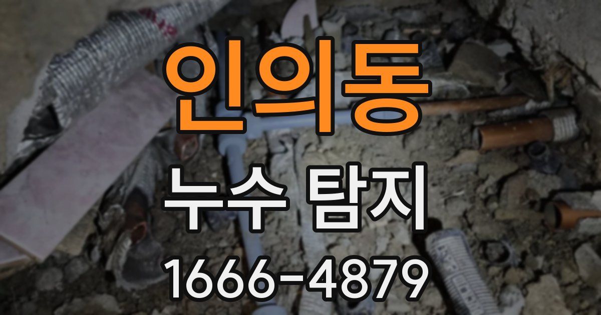 인의동 누수 탐지