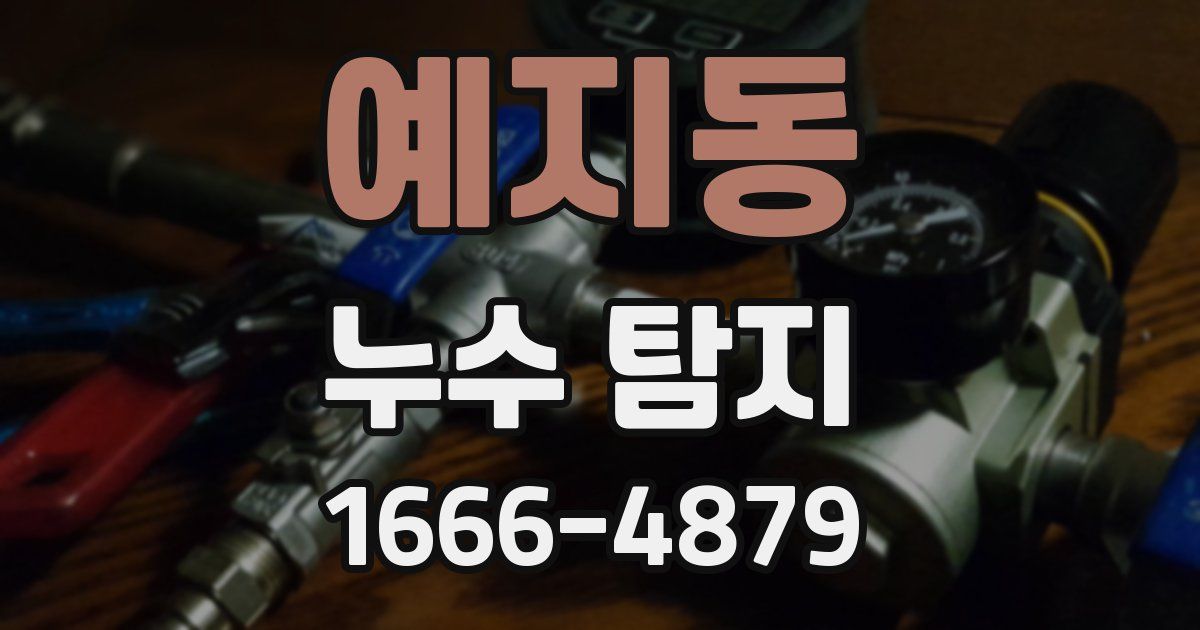 예지동 누수 탐지
