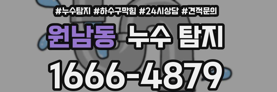 원남동 누수 탐지