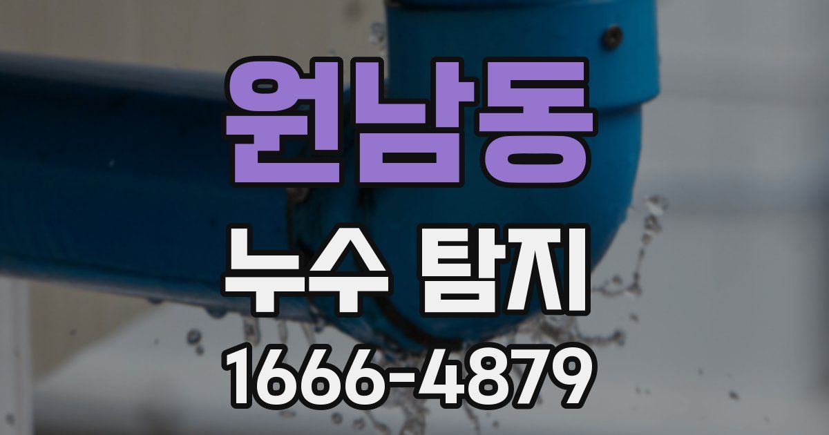 원남동 누수 탐지