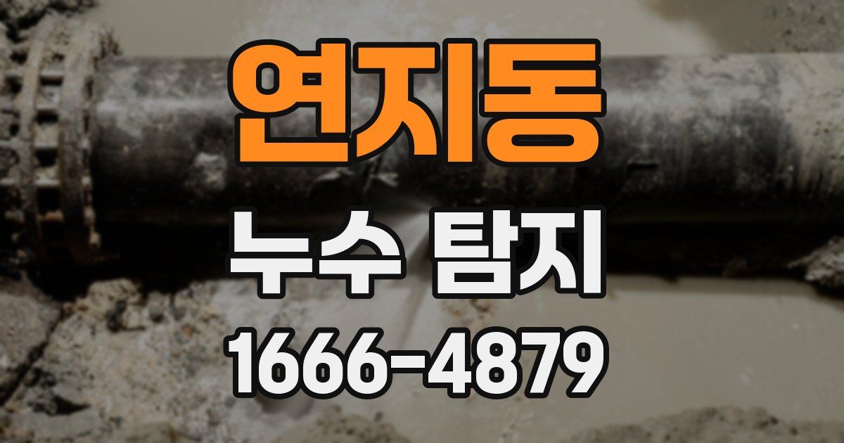 연지동 누수 탐지
