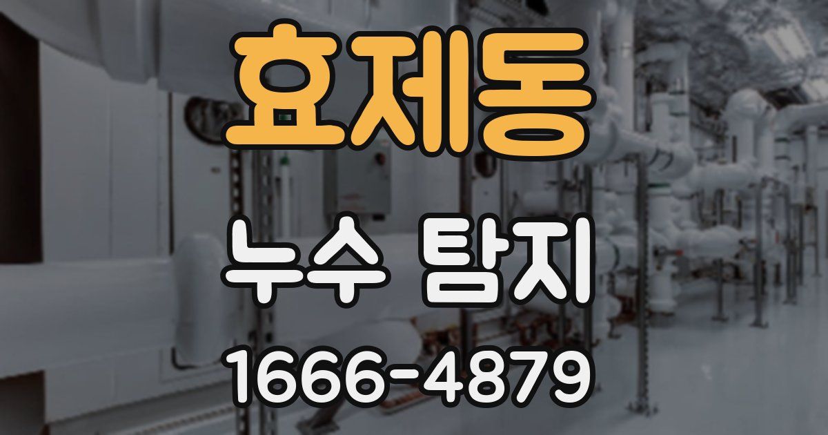 효제동 누수 탐지