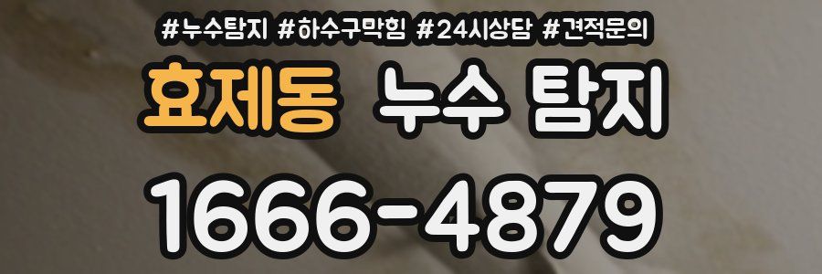 효제동 누수 탐지