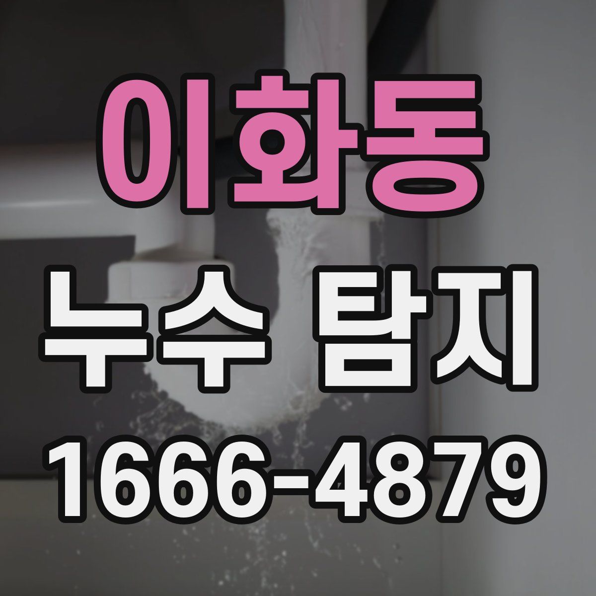 이화동 누수 탐지