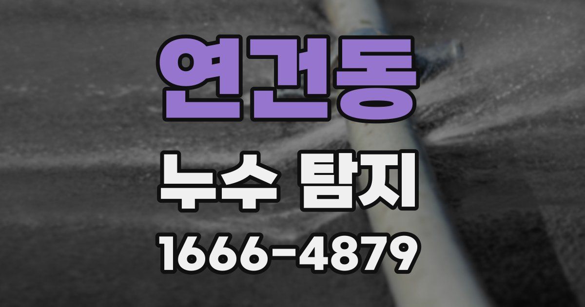 연건동 누수 탐지