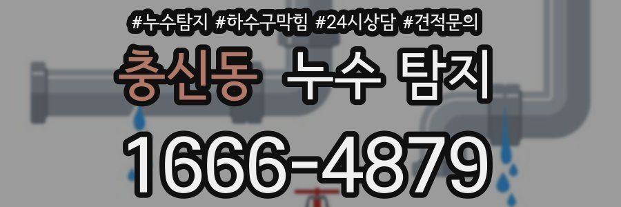 충신동 누수 탐지