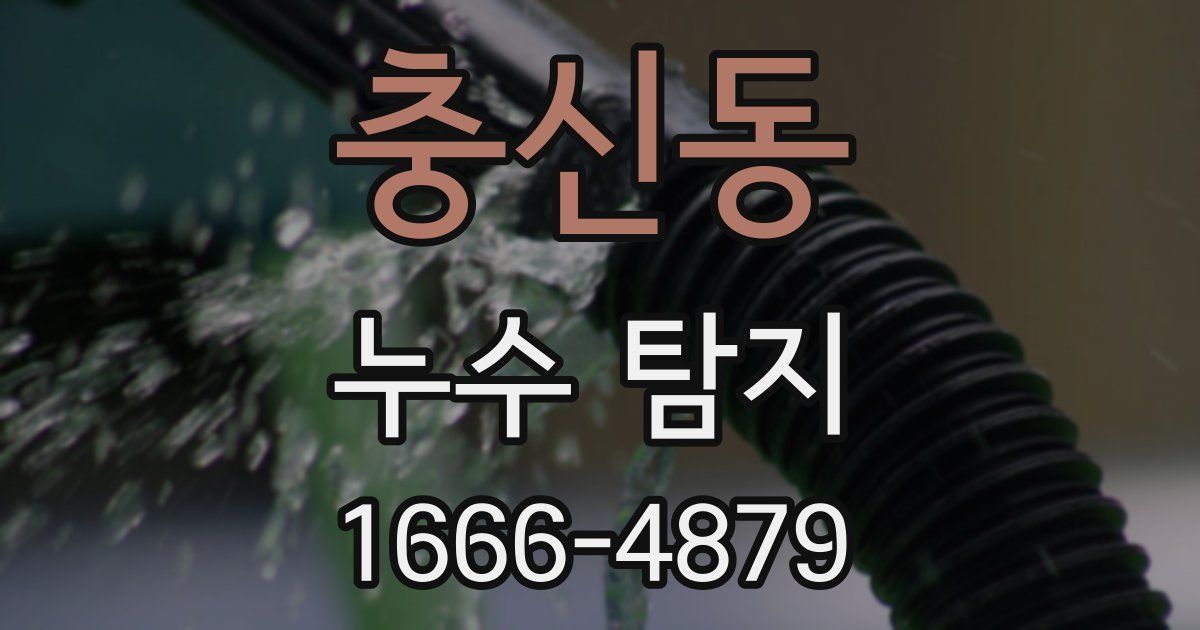 충신동 누수 탐지
