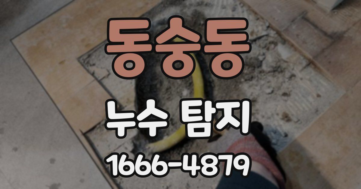 동숭동 누수 탐지