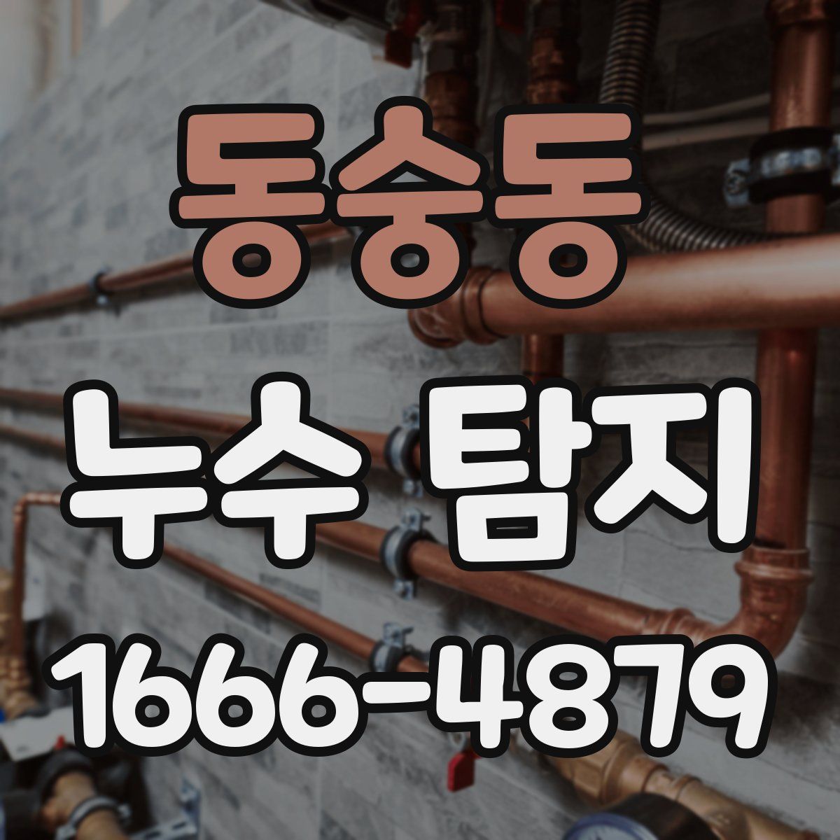 동숭동 누수 탐지
