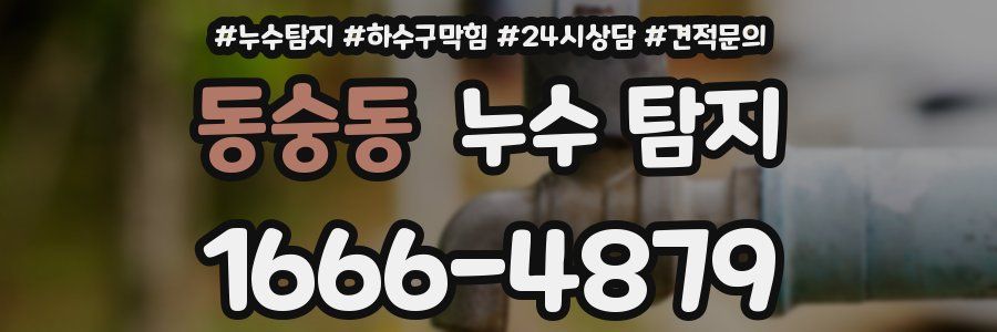 동숭동 누수 탐지
