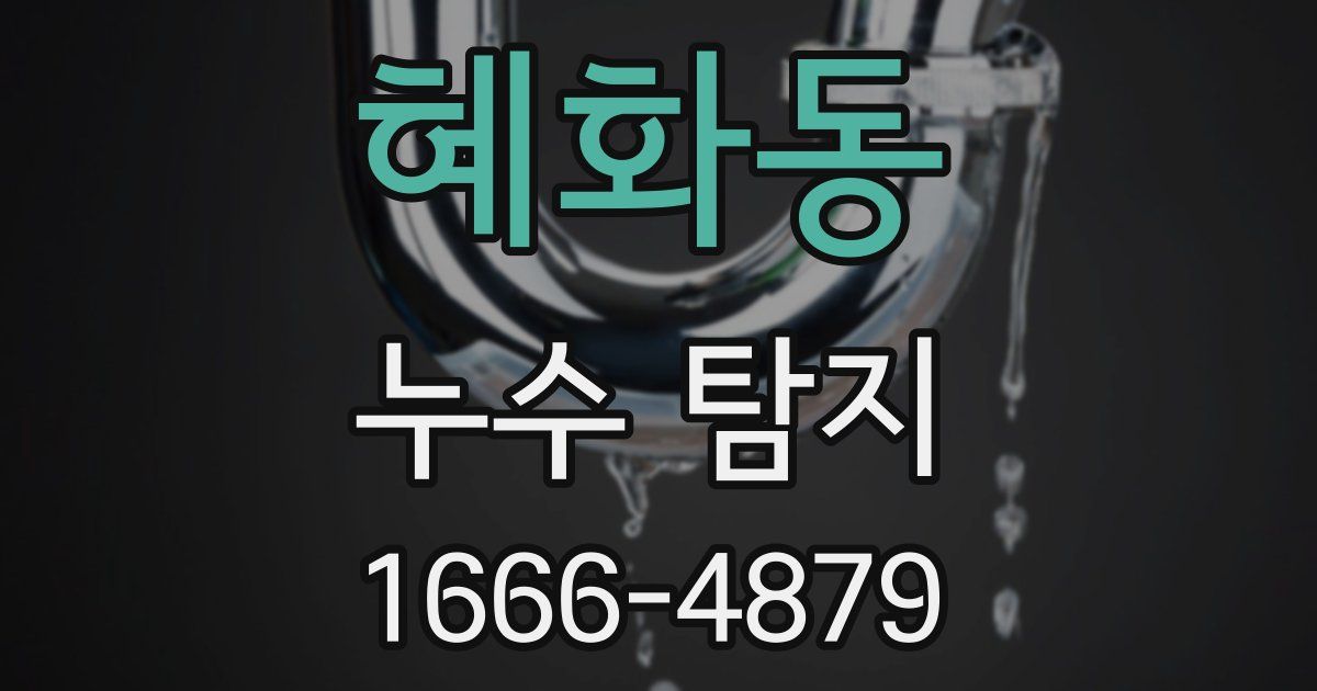혜화동 누수 탐지