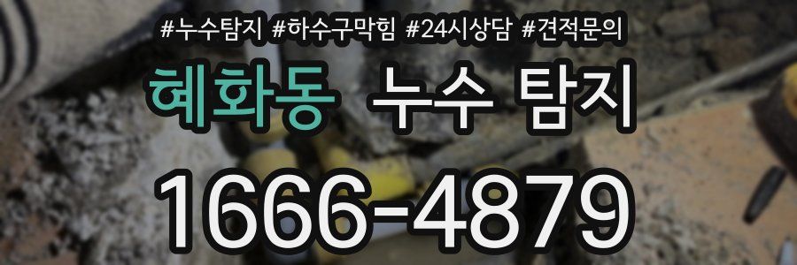 혜화동 누수 탐지